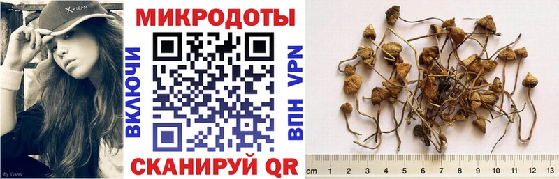 Купить где  Суворов  Псилоцибиновые грибы ЛСД 